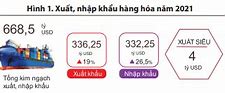 Báo Cáo Xuất Nhập Khẩu Năm 2021