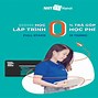 Các Công Việc Phổ Biến Trong Ngành Cntt