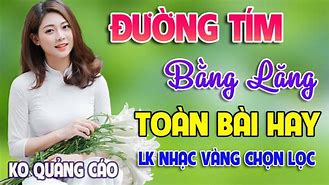 Mai Tiến Đạt Đường Tím Bằng Lăng