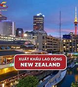 Xuất Khẩu Lao Động New Zealand 2022 Online Shopping Website